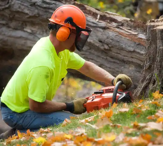 tree services Pleasant City